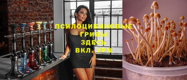 a pvp Алексеевка