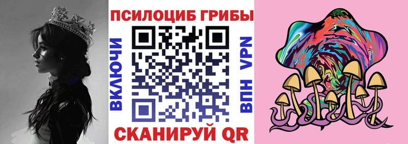 Псилоцибиновые грибы мухоморы дарнет шоп Заинск
